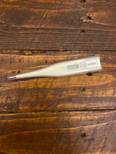 Digital thermometer