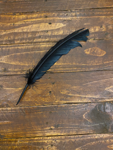 Black feather